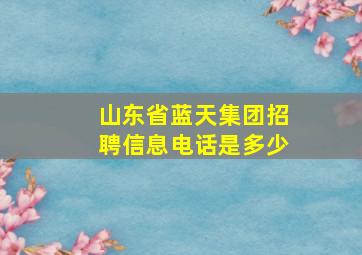 山东省蓝天集团招聘信息电话是多少