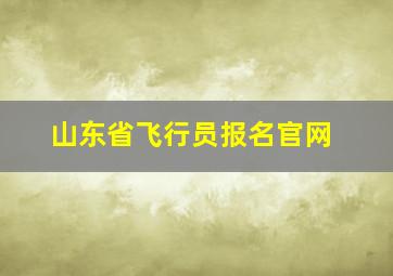 山东省飞行员报名官网