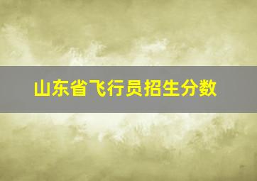 山东省飞行员招生分数