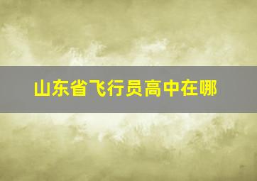 山东省飞行员高中在哪