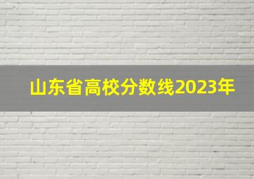 山东省高校分数线2023年