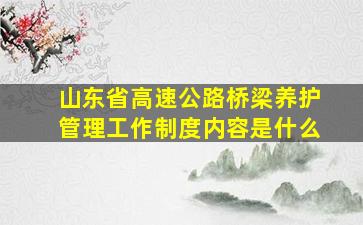 山东省高速公路桥梁养护管理工作制度内容是什么