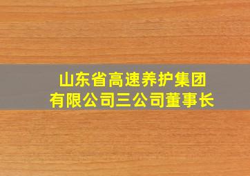 山东省高速养护集团有限公司三公司董事长