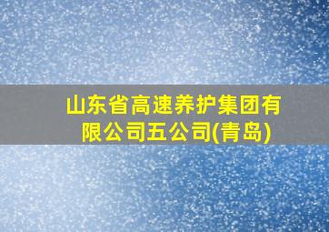 山东省高速养护集团有限公司五公司(青岛)