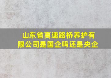 山东省高速路桥养护有限公司是国企吗还是央企