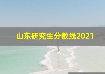 山东研究生分数线2021