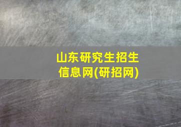 山东研究生招生信息网(研招网)