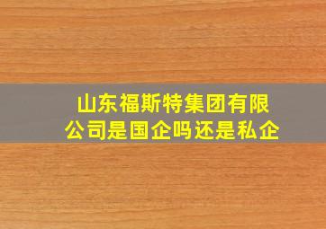 山东福斯特集团有限公司是国企吗还是私企