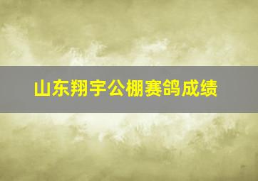 山东翔宇公棚赛鸽成绩