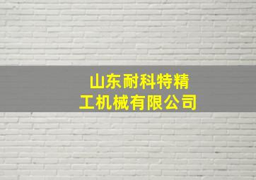 山东耐科特精工机械有限公司