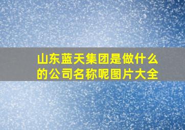 山东蓝天集团是做什么的公司名称呢图片大全