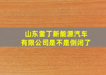 山东雷丁新能源汽车有限公司是不是倒闭了