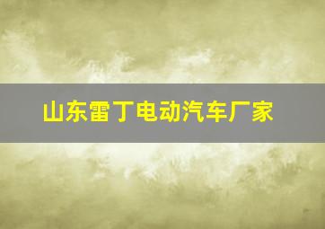 山东雷丁电动汽车厂家