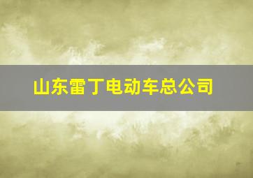 山东雷丁电动车总公司