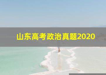 山东高考政治真题2020