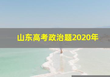 山东高考政治题2020年