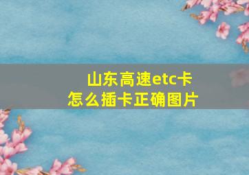 山东高速etc卡怎么插卡正确图片