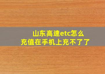 山东高速etc怎么充值在手机上充不了了