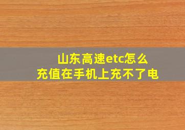 山东高速etc怎么充值在手机上充不了电