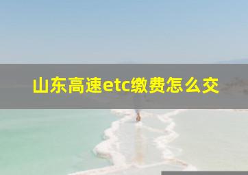 山东高速etc缴费怎么交