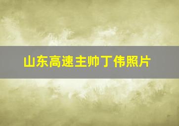 山东高速主帅丁伟照片