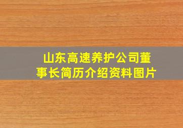 山东高速养护公司董事长简历介绍资料图片