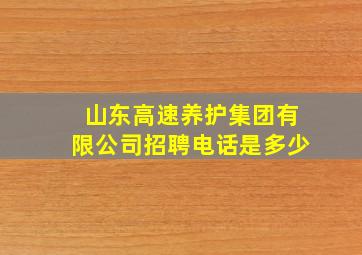 山东高速养护集团有限公司招聘电话是多少