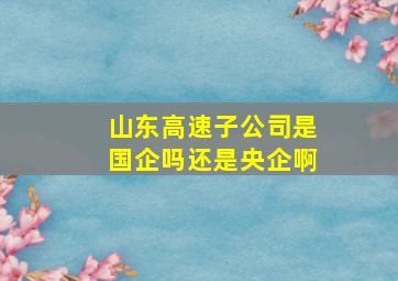 山东高速子公司是国企吗还是央企啊