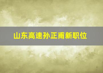 山东高速孙正甫新职位