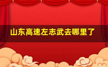 山东高速左志武去哪里了