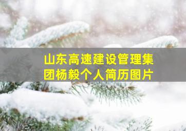 山东高速建设管理集团杨毅个人简历图片