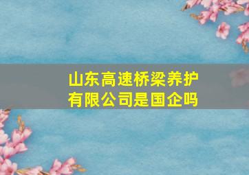 山东高速桥梁养护有限公司是国企吗