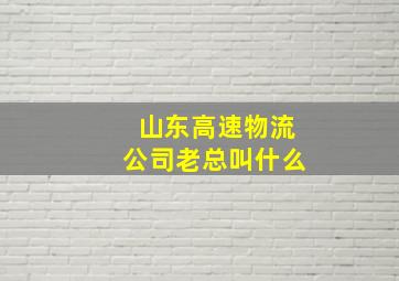 山东高速物流公司老总叫什么