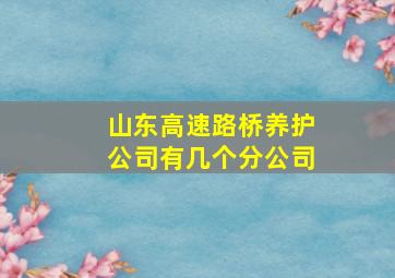 山东高速路桥养护公司有几个分公司