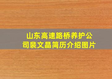 山东高速路桥养护公司裴文晶简历介绍图片