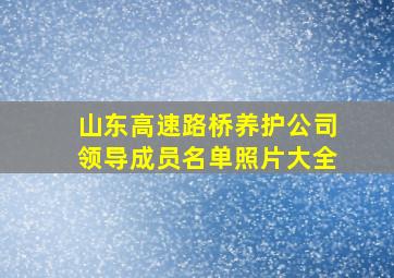 山东高速路桥养护公司领导成员名单照片大全