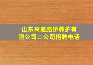 山东高速路桥养护有限公司二公司招聘电话