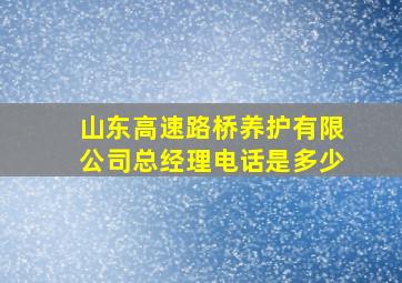 山东高速路桥养护有限公司总经理电话是多少