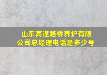 山东高速路桥养护有限公司总经理电话是多少号