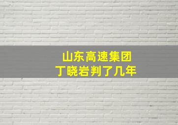 山东高速集团丁晓岩判了几年