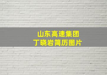 山东高速集团丁晓岩简历图片