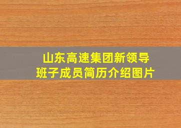 山东高速集团新领导班子成员简历介绍图片