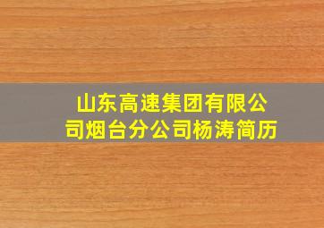 山东高速集团有限公司烟台分公司杨涛简历