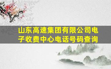 山东高速集团有限公司电子收费中心电话号码查询