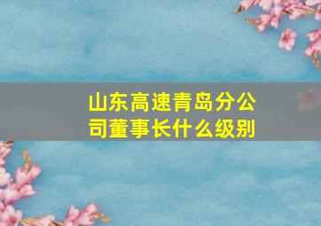 山东高速青岛分公司董事长什么级别