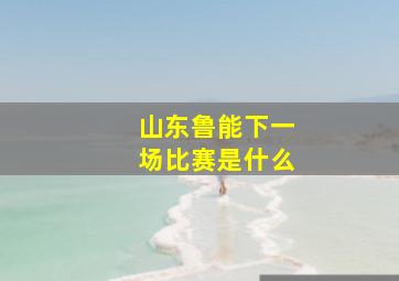 山东鲁能下一场比赛是什么