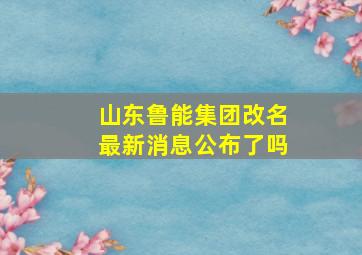 山东鲁能集团改名最新消息公布了吗