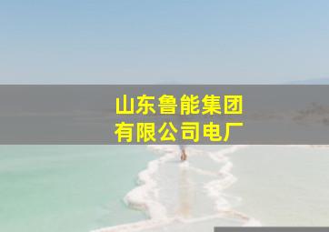 山东鲁能集团有限公司电厂