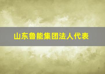 山东鲁能集团法人代表