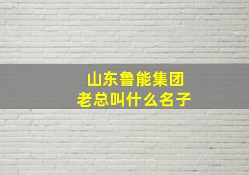 山东鲁能集团老总叫什么名子